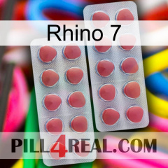 Rhino 7 19